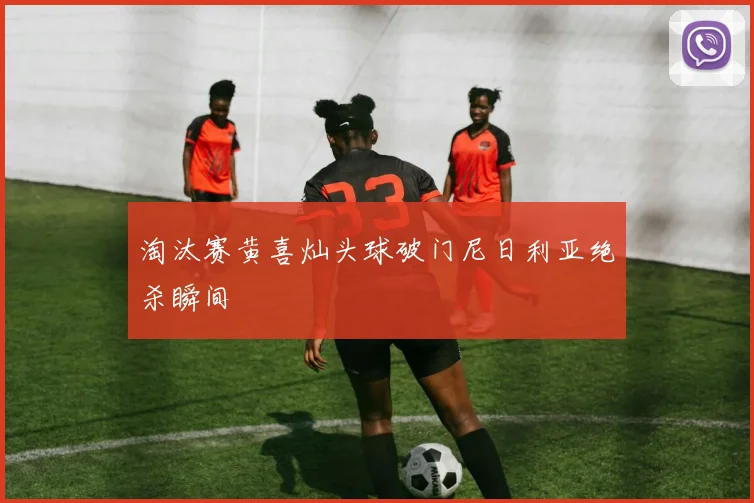 淘汰赛黄喜灿头球破门尼日利亚绝杀瞬间