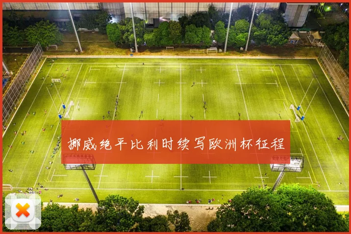 挪威绝平比利时续写欧洲杯征程