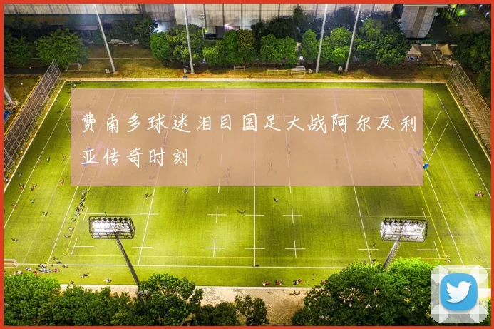费南多球迷泪目国足大战阿尔及利亚传奇时刻