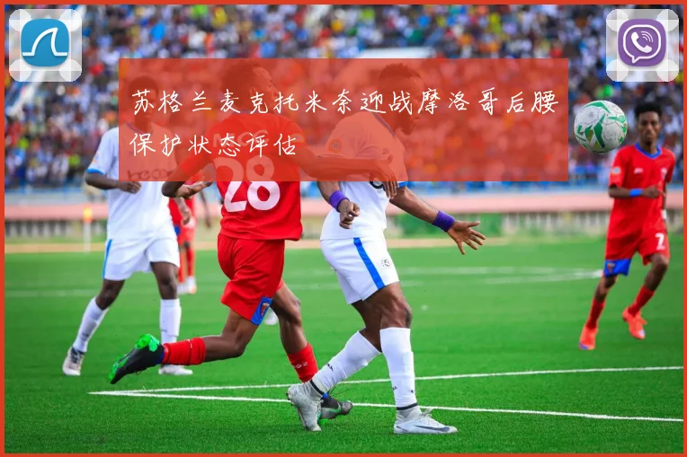 苏格兰麦克托米奈迎战摩洛哥后腰保护状态评估