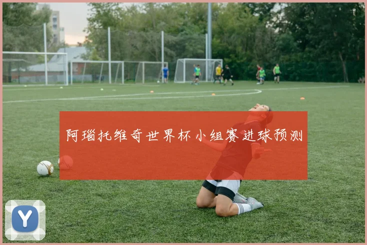 阿瑙托维奇世界杯小组赛进球预测
