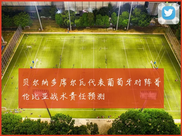 贝尔纳多席尔瓦代表葡萄牙对阵哥伦比亚战术责任预测