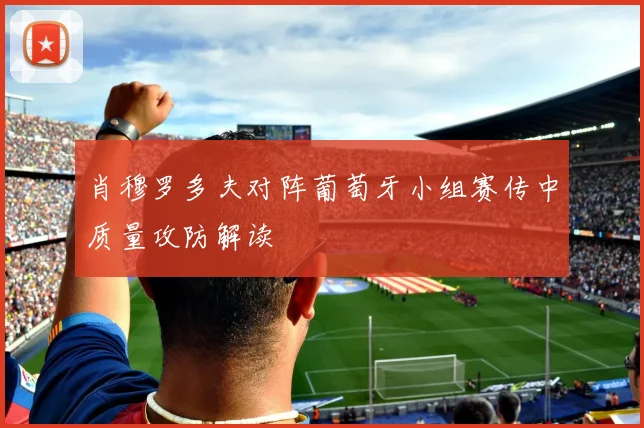 肖穆罗多夫对阵葡萄牙小组赛传中质量攻防解读