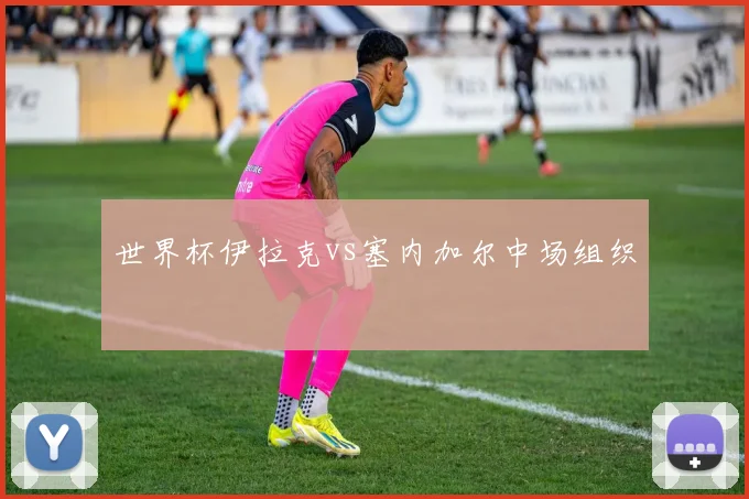 世界杯伊拉克vs塞内加尔中场组织