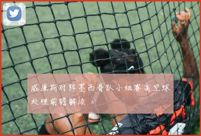 威廉斯对阵墨西哥队小组赛高空球处理前瞻解读