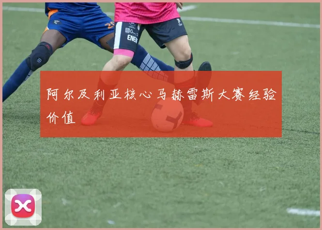 阿尔及利亚核心马赫雷斯大赛经验价值
